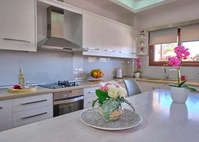 Elena Luxury Agios Stefanos Apartment Agios Stefanos Avliotes (Corfu)